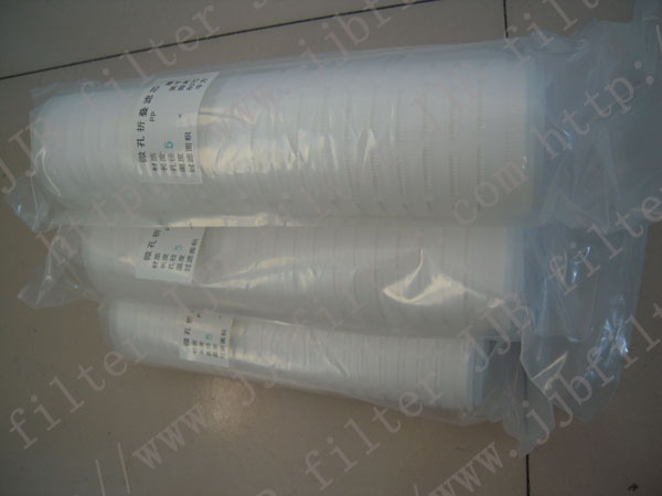 Micropore Polypropylene (PP ) Pleated Wa